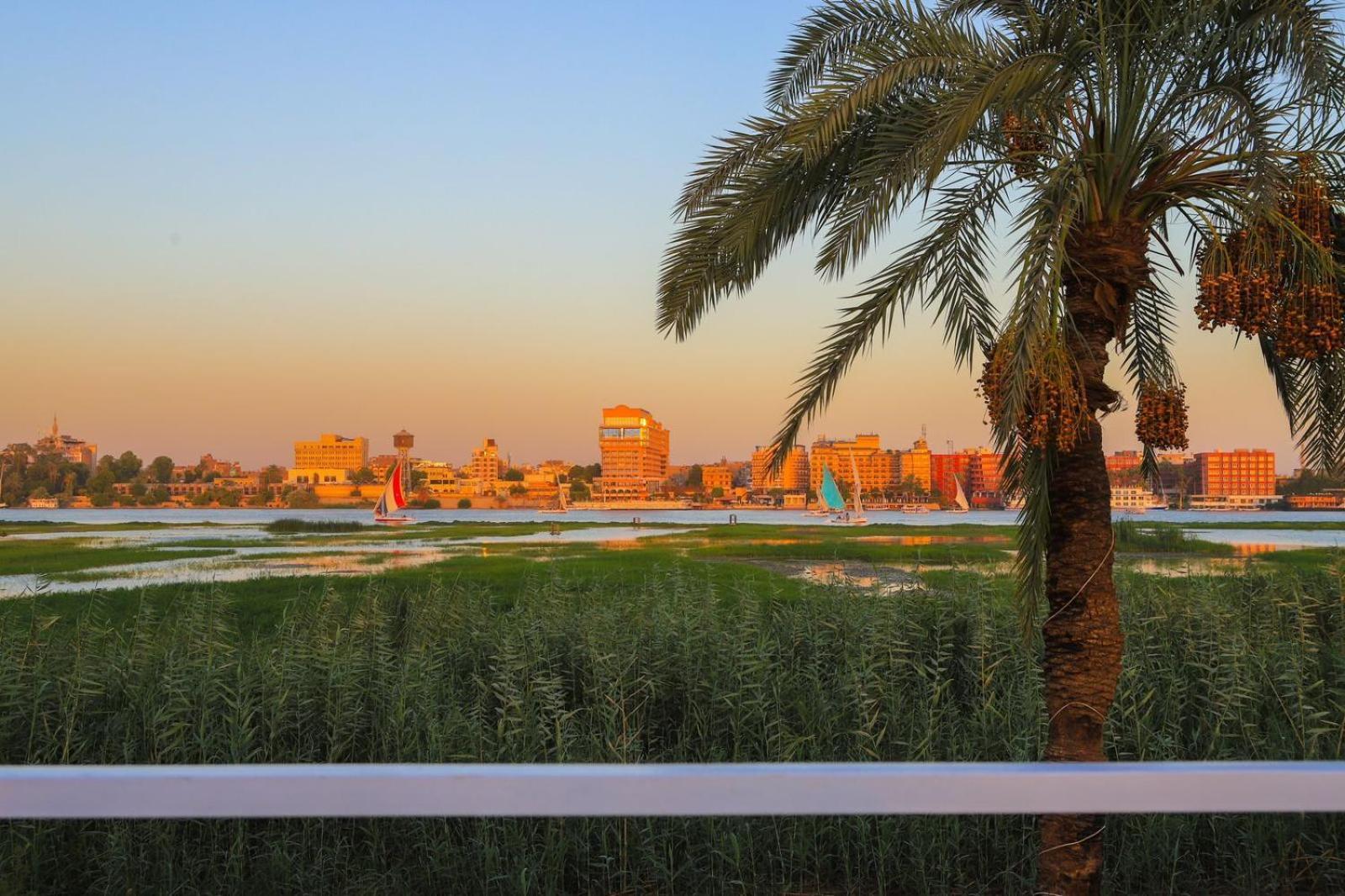 Royal Nile Villas - Pool View Apartment 2 ルクソール エクステリア 写真
